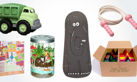15 Best Eco Friendly, Environmentally Conscious Kids Toys (Great Gifts)