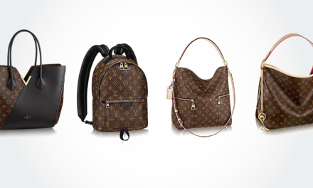 8 Best Louis Vuitton Bag & Handbags for Everyday Use