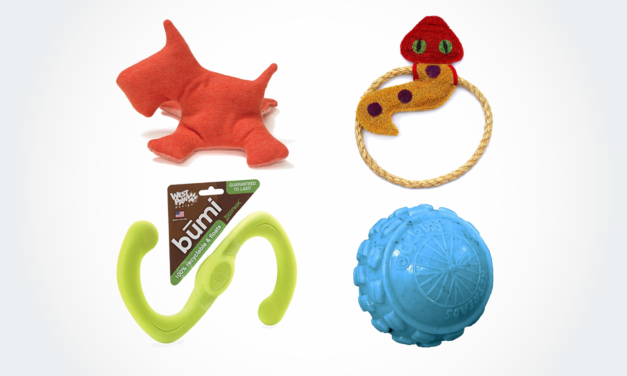 Top 10 Best Eco Friendly Dog Toys: Natural, Sustainable, Recyclable