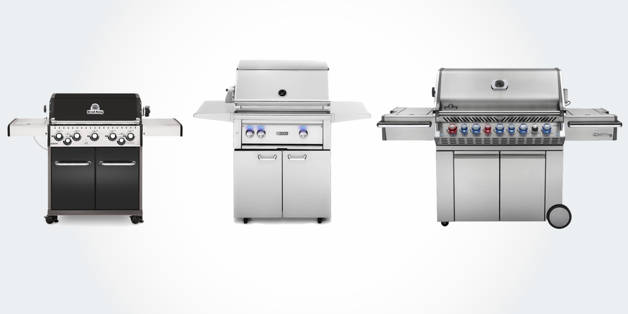 10+ Best Gas Grills: 2 Burner, 3 Burner, 4 & 5 Burner Gas Grills (Stainless Steel)