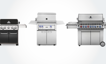 10+ Best Gas Grills: 2 Burner, 3 Burner, 4 & 5 Burner Gas Grills (Stainless Steel)